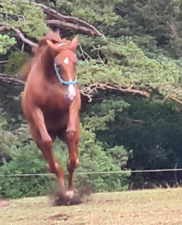 Haras De Seranon Villa Luaran gambar